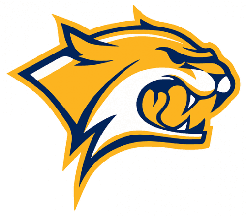 Vinyl Decals and Stickers